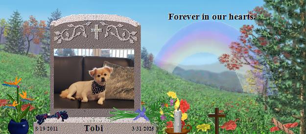 Tobi's Rainbow Bridge Pet Loss Memorial Residency Image