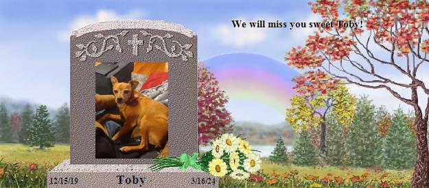 Toby's Rainbow Bridge Pet Loss Memorial Residency Image