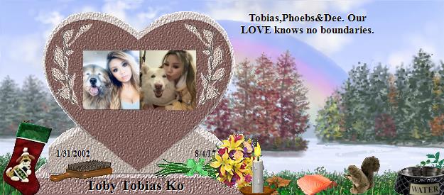 Toby Tobias Ko's Rainbow Bridge Pet Loss Memorial Residency Image