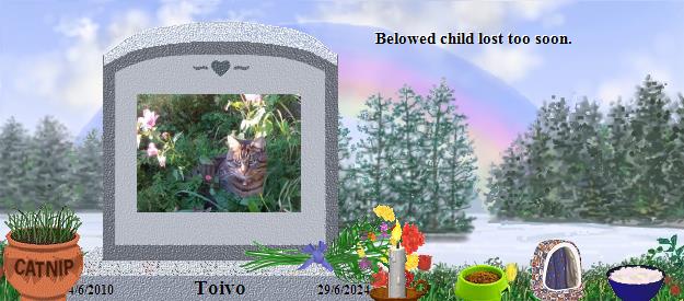 Toivo's Rainbow Bridge Pet Loss Memorial Residency Image