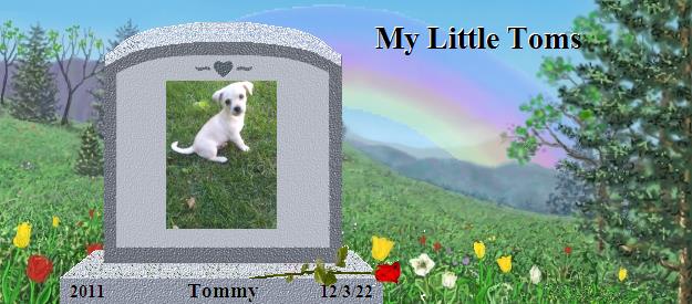 Tommy's Rainbow Bridge Pet Loss Memorial Residency Image