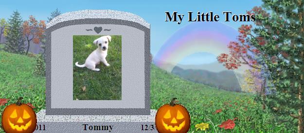 Tommy's Rainbow Bridge Pet Loss Memorial Residency Image