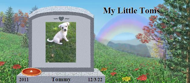 Tommy's Rainbow Bridge Pet Loss Memorial Residency Image