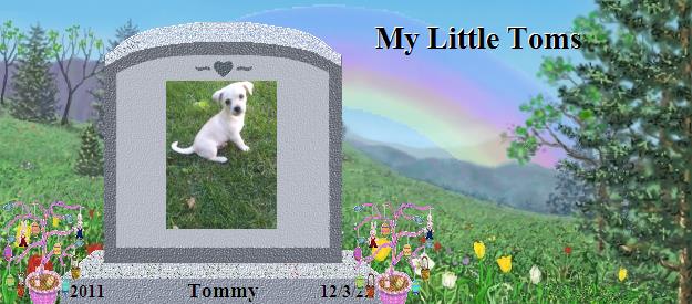 Tommy's Rainbow Bridge Pet Loss Memorial Residency Image
