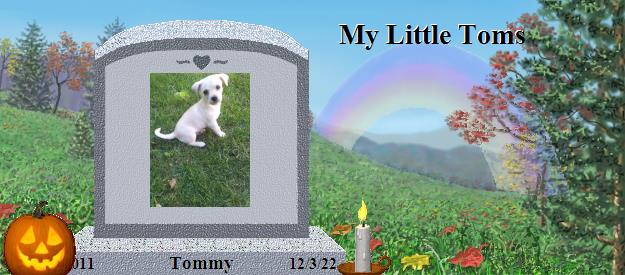 Tommy's Rainbow Bridge Pet Loss Memorial Residency Image