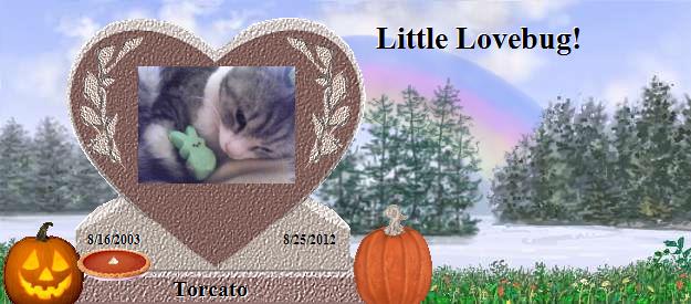 Torcato's Rainbow Bridge Pet Loss Memorial Residency Image