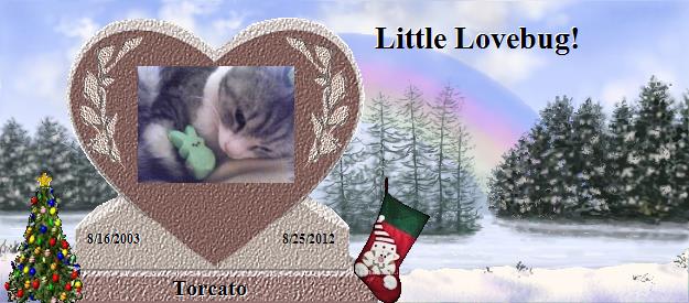 Torcato's Rainbow Bridge Pet Loss Memorial Residency Image