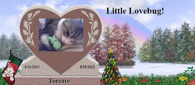 Torcato's Rainbow Bridge Pet Loss Memorial Residency Image
