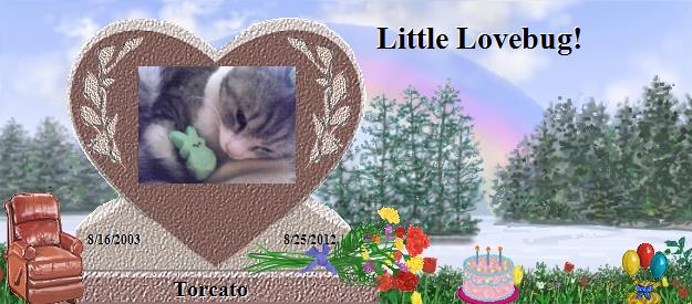 Torcato's Rainbow Bridge Pet Loss Memorial Residency Image