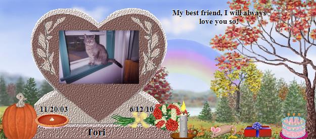 Tori's Rainbow Bridge Pet Loss Memorial Residency Image