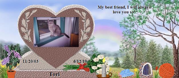 Tori's Rainbow Bridge Pet Loss Memorial Residency Image