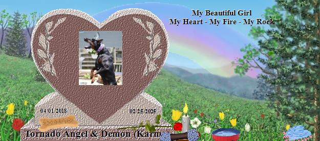 Tornado Angel & Demon (Karma)'s Rainbow Bridge Pet Loss Memorial Residency Image