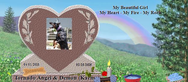 Tornado Angel & Demon (Karma)'s Rainbow Bridge Pet Loss Memorial Residency Image