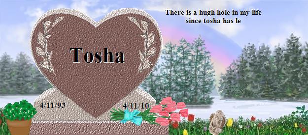 Tosha's Rainbow Bridge Pet Loss Memorial Residency Image