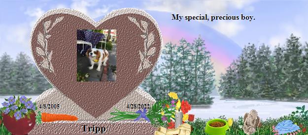 Tripp's Rainbow Bridge Pet Loss Memorial Residency Image