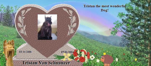 Tristan Von Schnauzer's Rainbow Bridge Pet Loss Memorial Residency Image