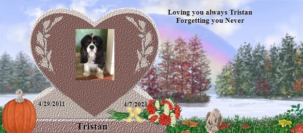 Tristan's Rainbow Bridge Pet Loss Memorial Residency Image