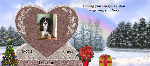 Tristan's Rainbow Bridge Pet Loss Memorial Residency Image