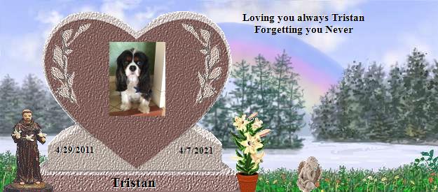 Tristan's Rainbow Bridge Pet Loss Memorial Residency Image