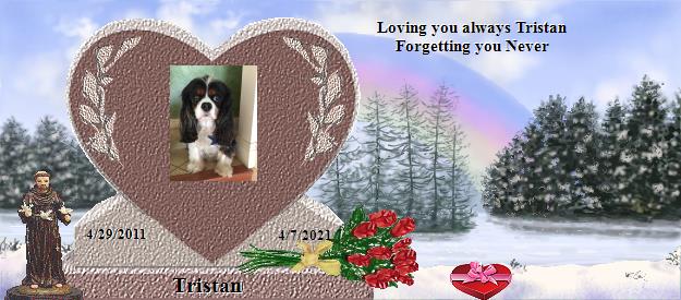 Tristan's Rainbow Bridge Pet Loss Memorial Residency Image