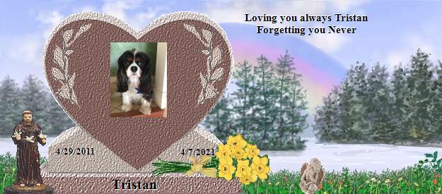 Tristan's Rainbow Bridge Pet Loss Memorial Residency Image
