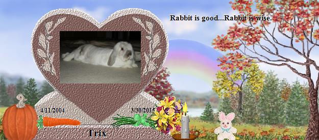 Trix's Rainbow Bridge Pet Loss Memorial Residency Image