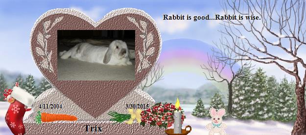 Trix's Rainbow Bridge Pet Loss Memorial Residency Image