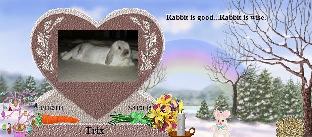 Trix's Rainbow Bridge Pet Loss Memorial Residency Image