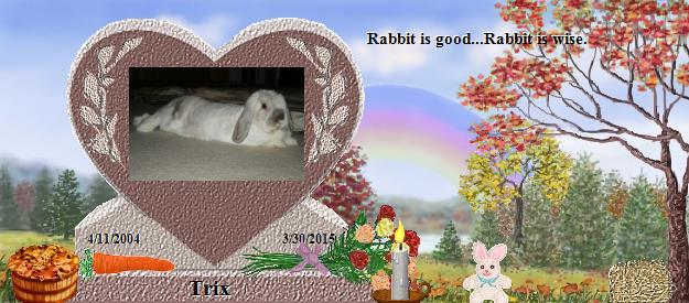 Trix's Rainbow Bridge Pet Loss Memorial Residency Image