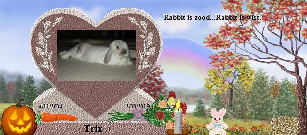 Trix's Rainbow Bridge Pet Loss Memorial Residency Image
