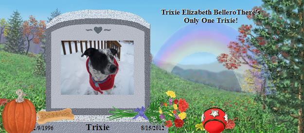 Trixie's Rainbow Bridge Pet Loss Memorial Residency Image