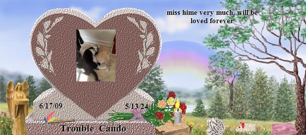 Trouble  Caudo's Rainbow Bridge Pet Loss Memorial Residency Image