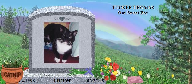 Tucker's Rainbow Bridge Pet Loss Memorial Residency Image
