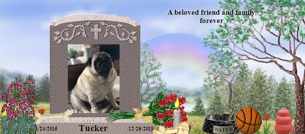 Tucker's Rainbow Bridge Pet Loss Memorial Residency Image