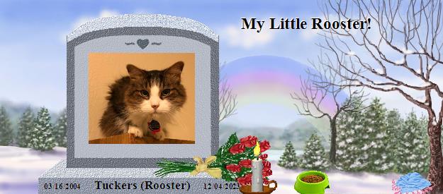 Tuckers (Rooster)'s Rainbow Bridge Pet Loss Memorial Residency Image