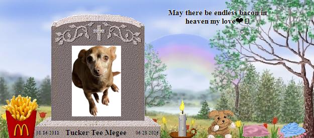 Tucker Tee Megee's Rainbow Bridge Pet Loss Memorial Residency Image
