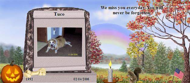 Tuco's Rainbow Bridge Pet Loss Memorial Residency Image