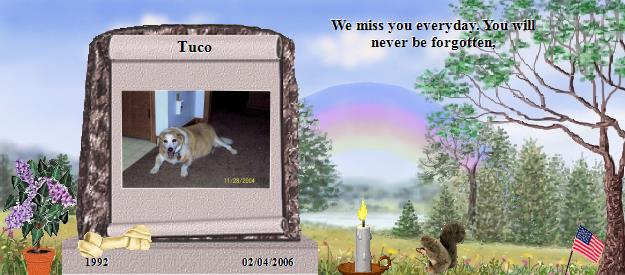 Tuco's Rainbow Bridge Pet Loss Memorial Residency Image