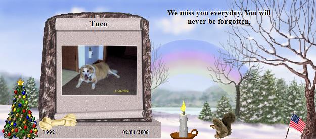 Tuco's Rainbow Bridge Pet Loss Memorial Residency Image