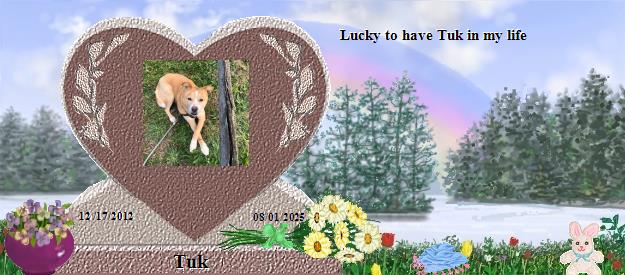 Tuk's Rainbow Bridge Pet Loss Memorial Residency Image