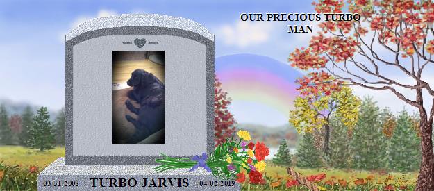 TURBO JARVIS's Rainbow Bridge Pet Loss Memorial Residency Image