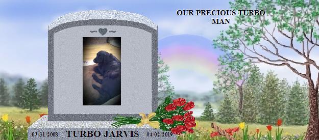 TURBO JARVIS's Rainbow Bridge Pet Loss Memorial Residency Image