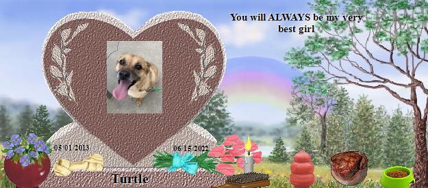 Turtle's Rainbow Bridge Pet Loss Memorial Residency Image