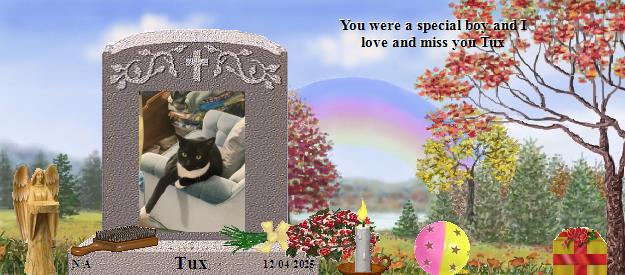 Tux's Rainbow Bridge Pet Loss Memorial Residency Image