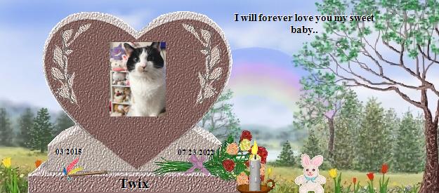 Twix's Rainbow Bridge Pet Loss Memorial Residency Image