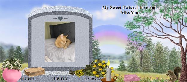 Twixx's Rainbow Bridge Pet Loss Memorial Residency Image