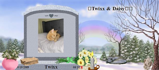 Twixx's Rainbow Bridge Pet Loss Memorial Residency Image