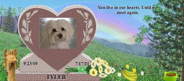 TYLER's Rainbow Bridge Pet Loss Memorial Residency Image