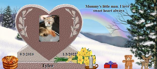 Tyler's Rainbow Bridge Pet Loss Memorial Residency Image