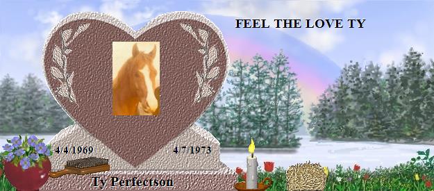 Ty Perfectson's Rainbow Bridge Pet Loss Memorial Residency Image